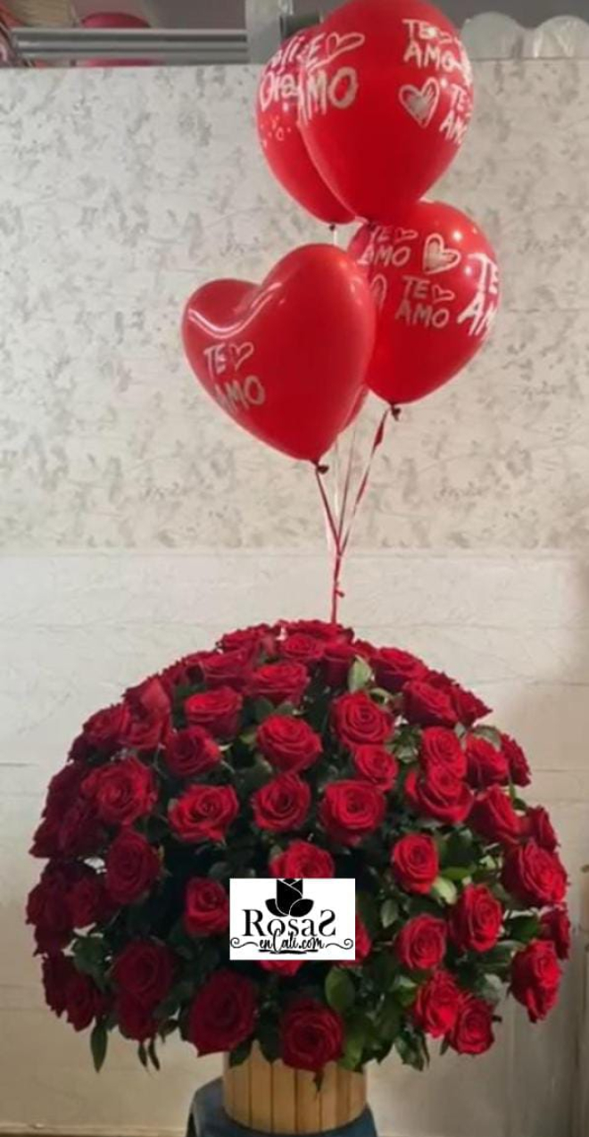 Rosas Rojas Especiales Para Enamorar