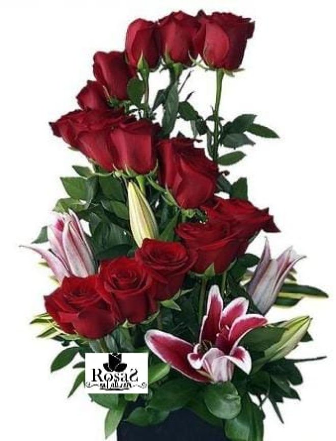 Arreglo Lineal en Cali