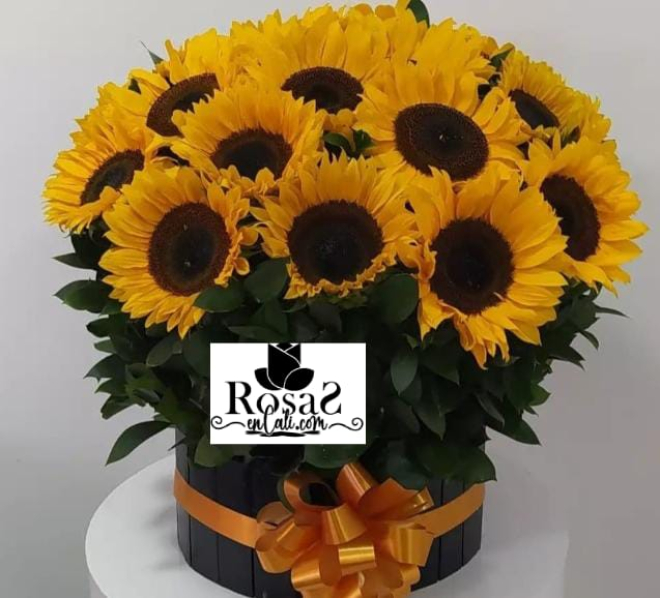 Cilindro de girasoles