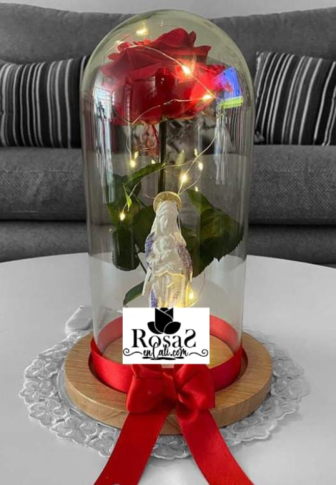 Rosas preservada con virgen en cali