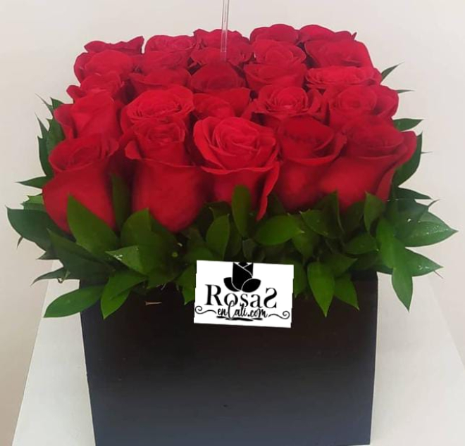 Sembrado de 25 rosas